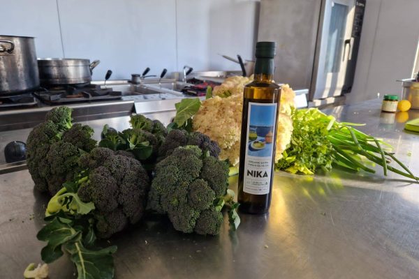 505115958_2718950121625344_9109310357287852505_n